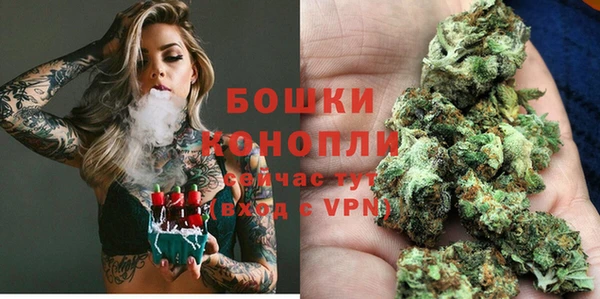 сатива Абдулино