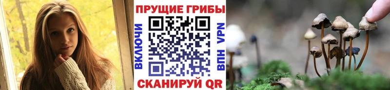 Галлюциногенные грибы MAGIC MUSHROOMS  MEGA ССЫЛКА  Ермолино 